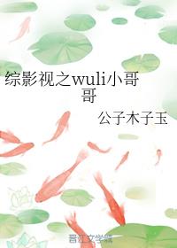 Ӱ֮wuliС